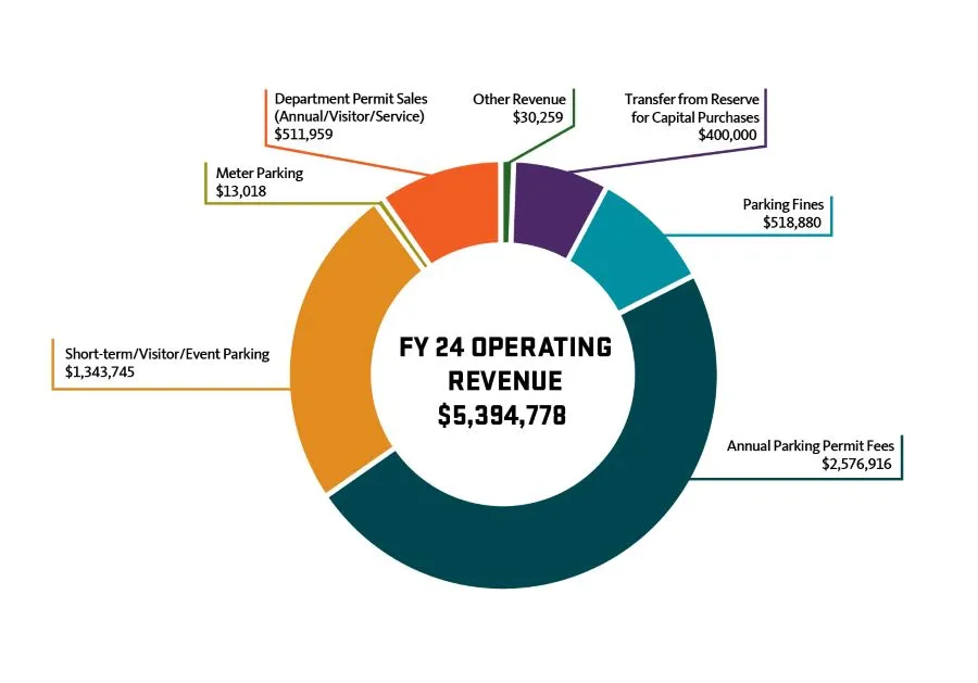 Chart of FY24 Revenue split by type
