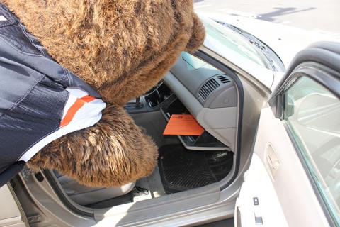 Benny Beaver checks the Motor Pool glove box